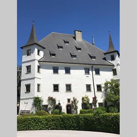 Apartment, Haus Lederer ツェル アム ゼー エクステリア 写真