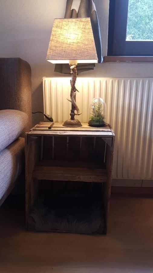 Apartment, Haus Lederer ツェル アム ゼー エクステリア 写真
